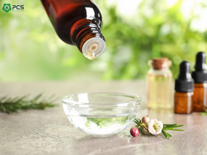 Các biện pháp diệt muỗi 